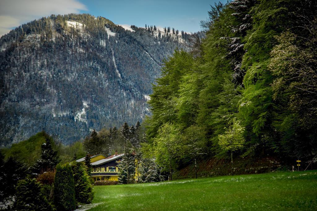 Hotel Garni Zeranka Ruhpolding Luaran gambar